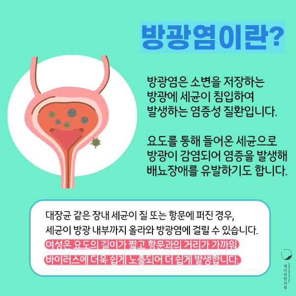 창원방광염의 원인과 증상 / 창원방광염한의원