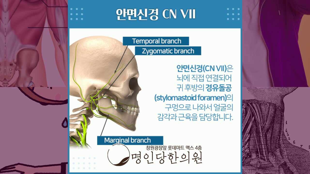 안면마비 여기서 구안와사 진행 막아, 창원 상남동한의원 추나치료 야간진료