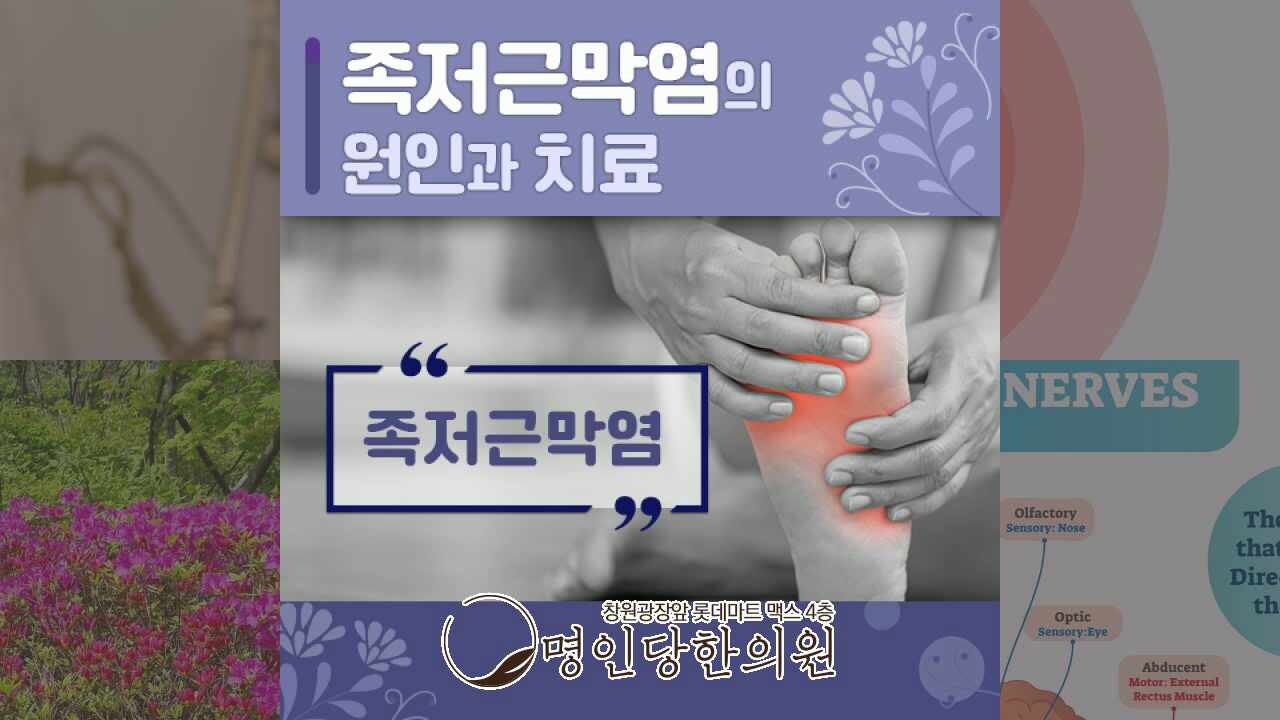 족저근막염 맘껏 걷기위해서, 창원 중앙동 봉침치료 명인당한의원